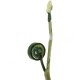 Acer TravelMate 5744-384G50Mnkk Kabel LCD