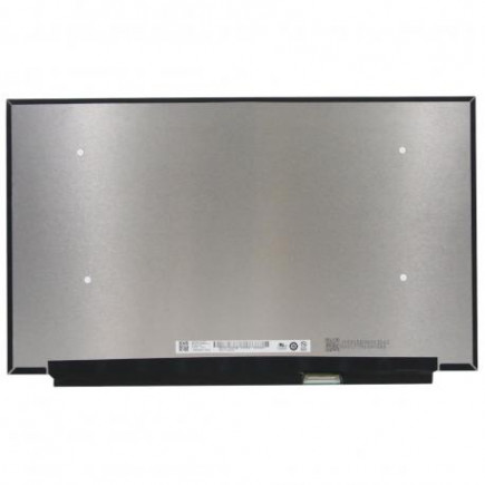 Kompatibilní B156HAN10.2 matryca do laptopa 12,5“ 30pin 60Hz FHD LED Slim - Matowy